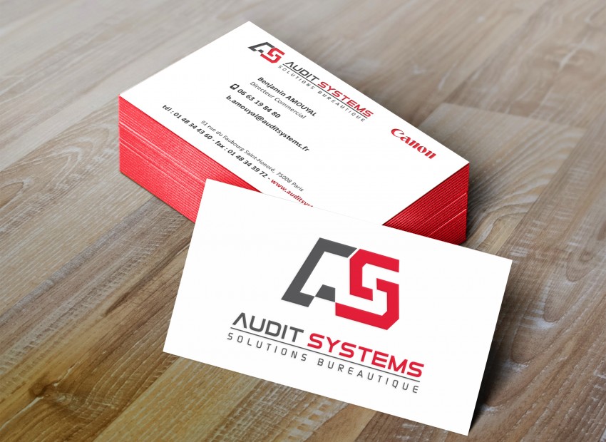auditsystems_print